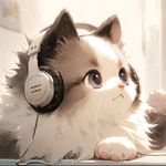9v9喵