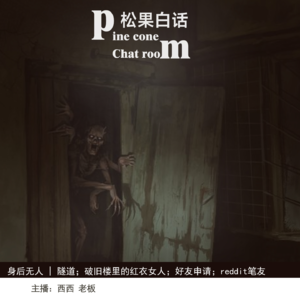 39.身后无人|隧道；破旧楼里的红衣女人；FB上的好友申请；reddit笔友