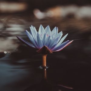 林海