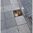 饼干kkkkh