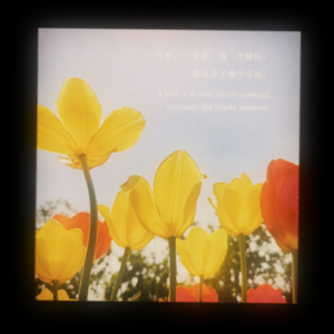 EP41 职场,初来乍到!面试是一场自我搭建的角色扮演体验