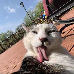 podcaster-avatar