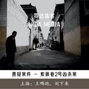 100. 城里的月光，洒在那年的紫藤巷