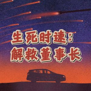 142.生死时速:解救董事长|老警察讲故事