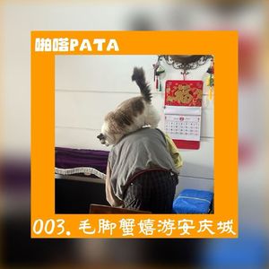 啪嗒003. 毛脚蟹嬉游安庆城