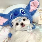Gloriabiubiu
