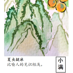 14.小满—小满节气，感恩知足。