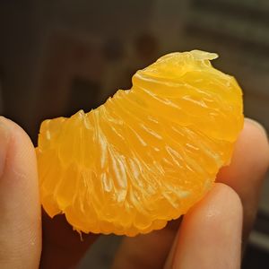 橙橙橙橙橙程子