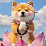 芬兰有极光