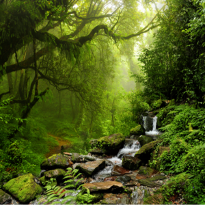 陈宇廷的有声书《念完哈佛念阿弥陀佛》Vol 1. 我的童年和家庭教育