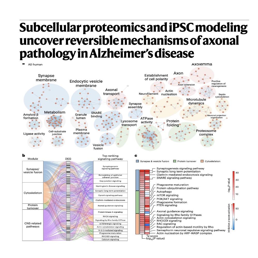 1246-Reversible mTOR Mechanisms in Alzheimer’s Disease episode artwork