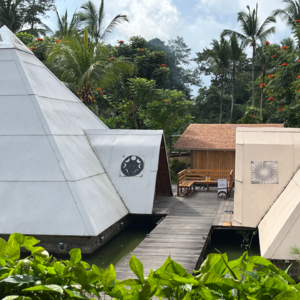 010｜你是创造者，而非受害者