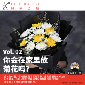 Vol.02| 你会在家里放菊花吗？