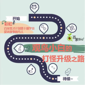 观鸟小白的打怪升级之路《世界鸟巢图鉴》线上读书会4/4