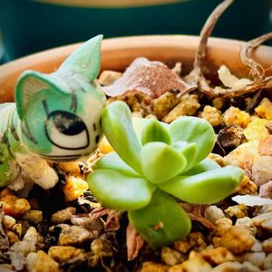 podcaster-avatar