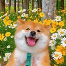 逾儿