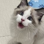 说不了就不说了