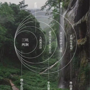 独立思考 | 董宇辉带货茶叶引发的是“品”和“饮”茶的两种语境的争夺!