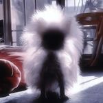 酸酸酸酸甜