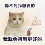 Day26. 四步法搭建主体性｜告别讨好，从日常小事练出内核力量
