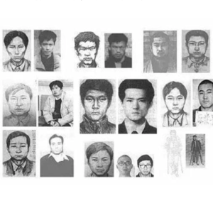 Vol.42 刑侦八虎系列之张欣(二),铁轨上的头颅