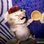 不怎么黑