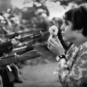No.189-震惊世界名作：17岁少女用鲜花对抗枪炮