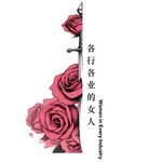 各行各业的女人
