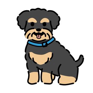 podcaster-avatar