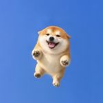 _伯樂