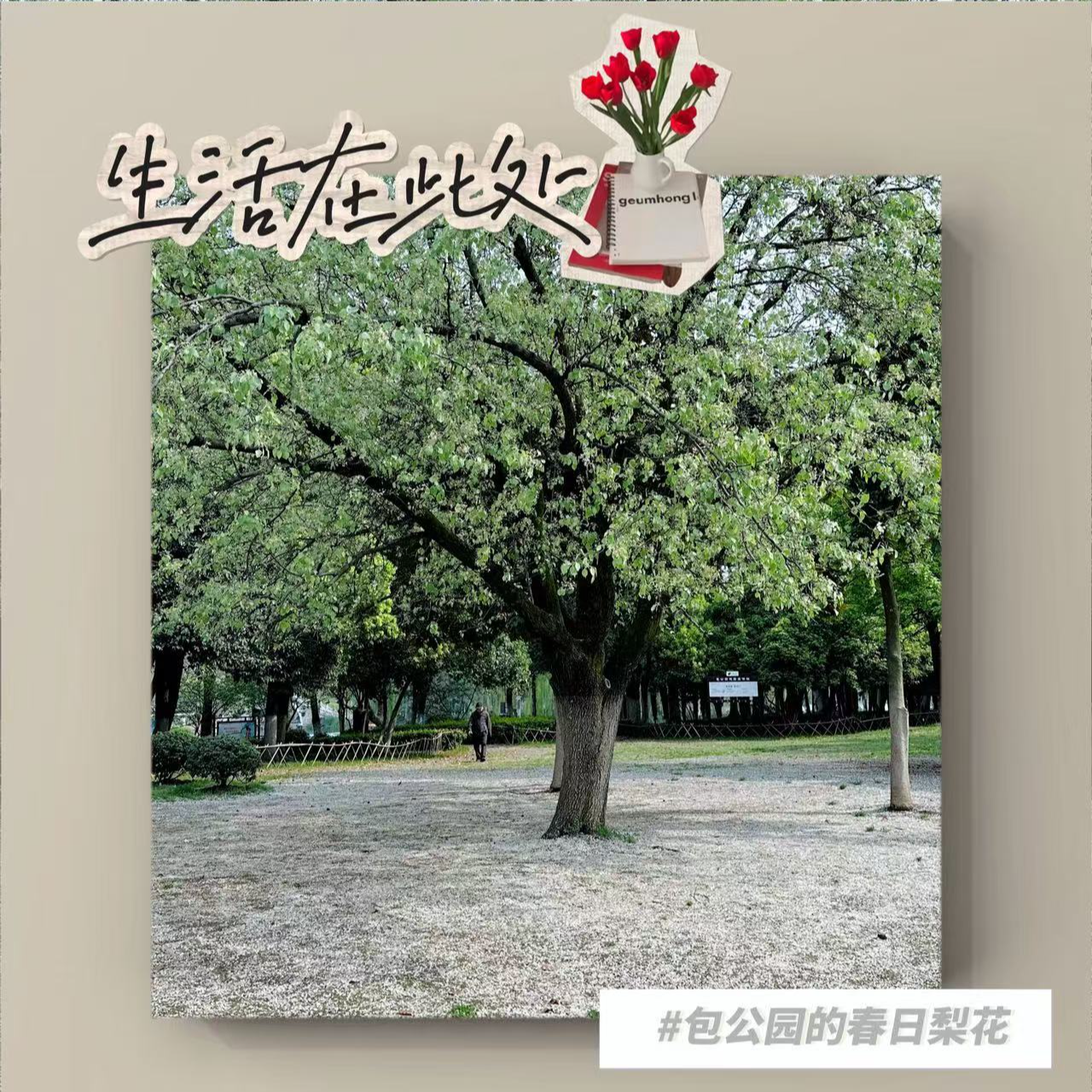 E05:选择城市，选择取悦自己 episode artwork