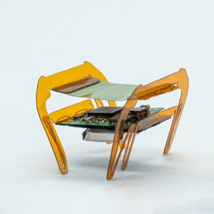 130亿年前的第一个分子?蟑螂机器人能干嘛?新冠后大脑为何集体老化?