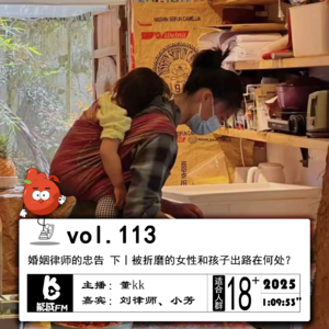113.婚姻律师的忠告 下丨被折磨的女性和孩子出路在何处？（片尾有彩蛋）
