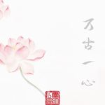 泽_aP9B