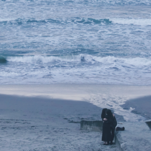 #25 当我们说喜欢海洋时,我们说的究竟是什么?