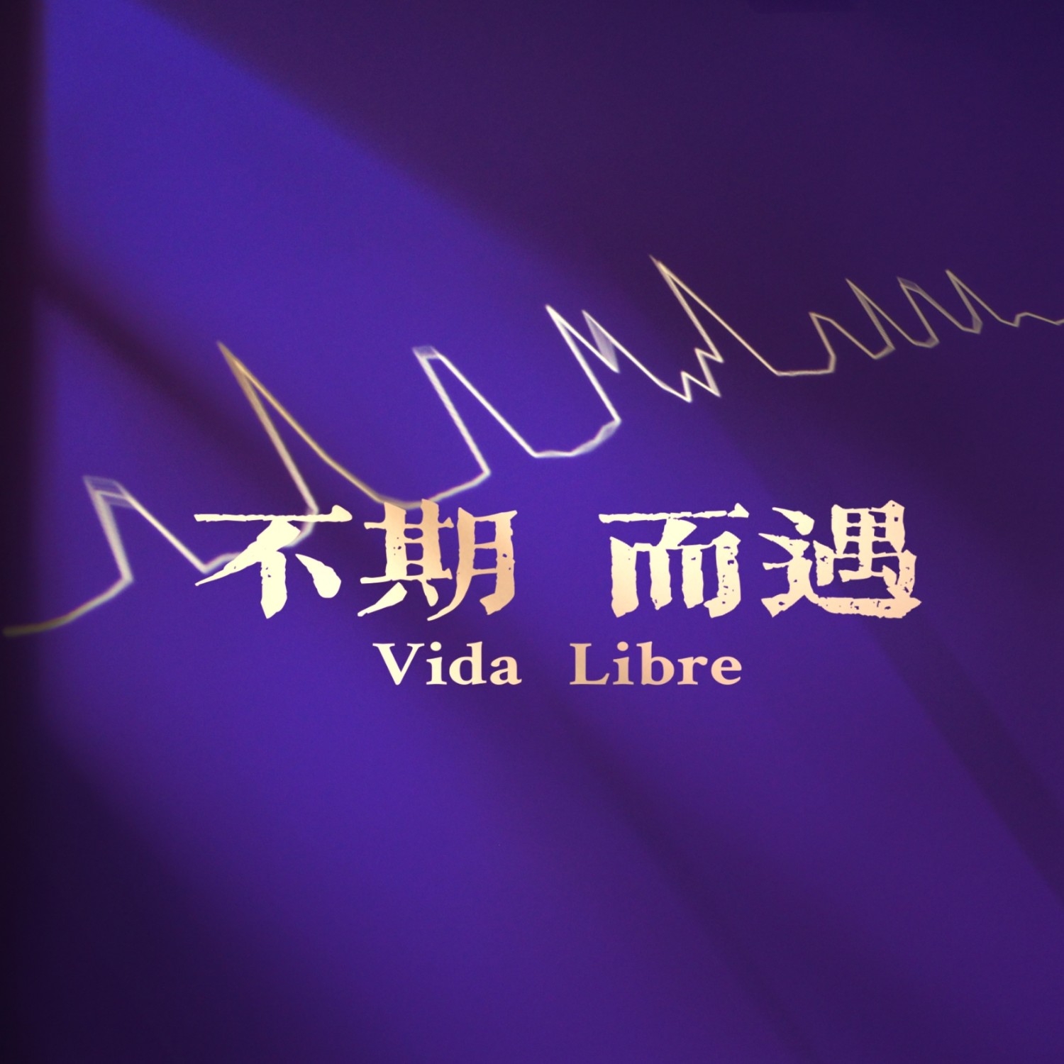 不期而遇 · Vida Libre
