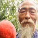 草木_0UWQ
