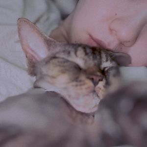 podcaster-avatar