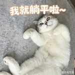 绿豆绿豆呀
