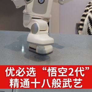 第593集 优必选“悟空2代”，精通十八般武艺