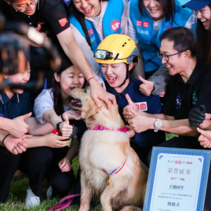 营销新维度：解锁品牌创意与社会影响力的融合之道