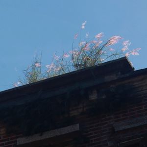 podcaster-avatar