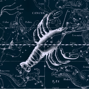 占星读书会 006|上升巨蟹