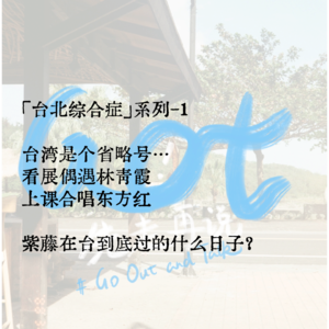 「台北综合症」：看展偶遇林青霞！课堂合唱东方红？台湾是个省略号...