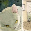 猫_Tz48