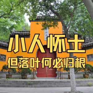 小人怀土，但落叶何必归根