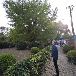 高翰