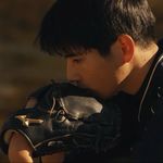 柿子桂圆和流星