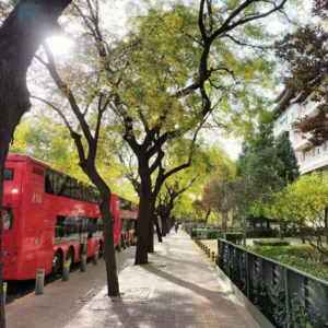 70、沪上中产：卖了三套房后，我去香港买保险