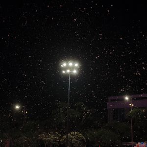 青年坎坷与迷茫